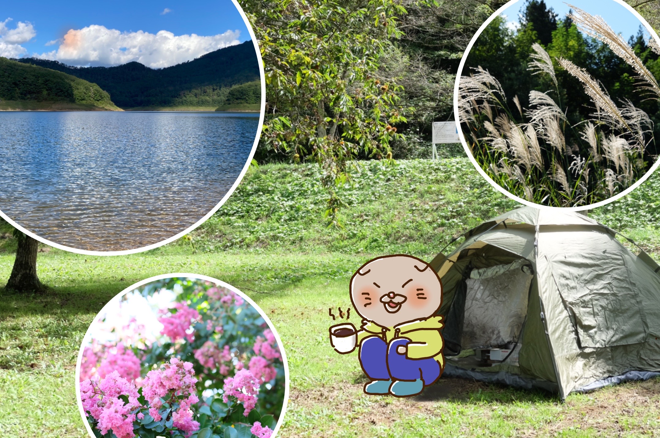 田瀬湖オートキャンプ場のサイト風景