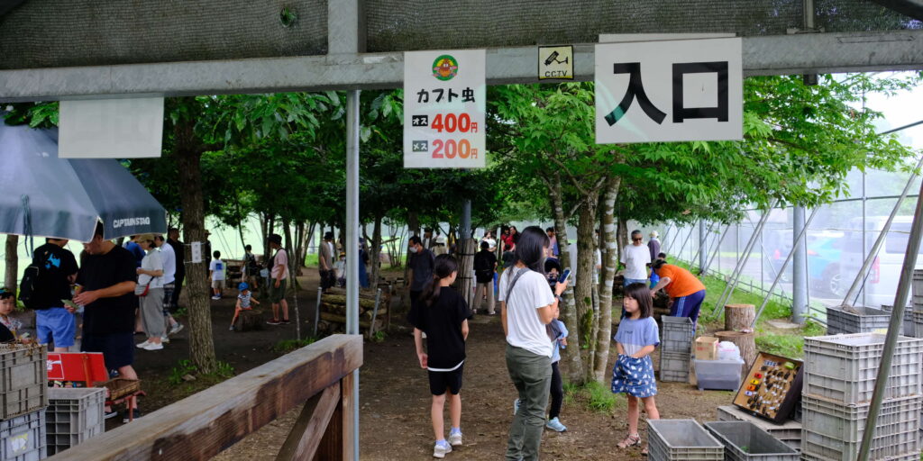 カブトムシふれあい童夢入口