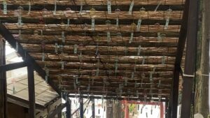 花巻・鏑八幡神社の夏