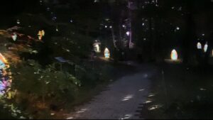 星のようなライトアップ